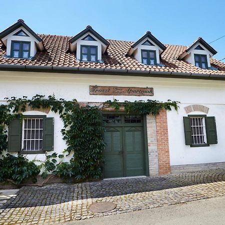 Troszt Pince Apartman Villány Buitenkant foto