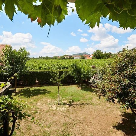 Troszt Pince Apartman Villány Buitenkant foto