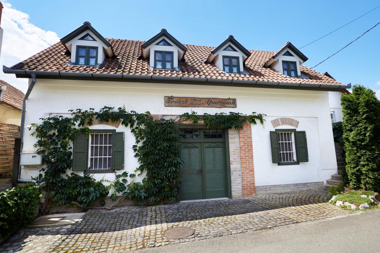 Troszt Pince Apartman Villány Buitenkant foto