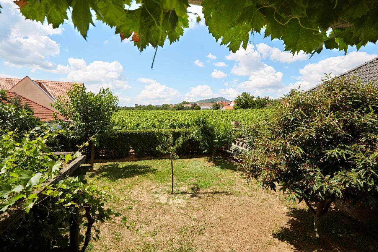 Troszt Pince Apartman Villány Buitenkant foto